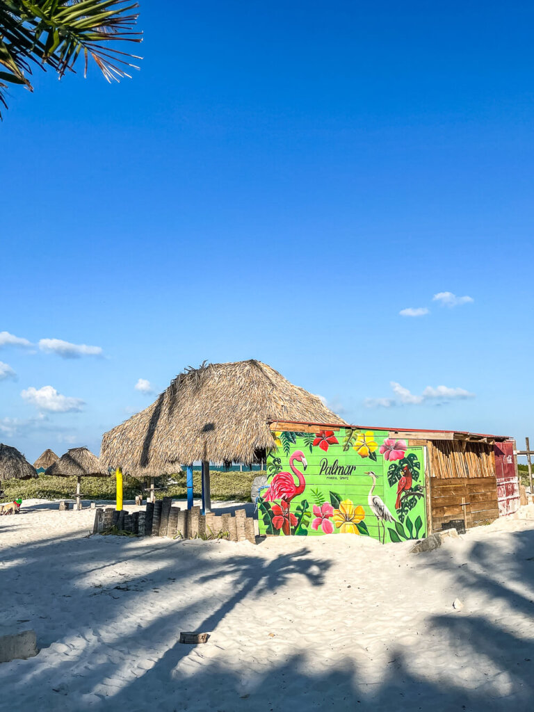 Shack with straw roof and green wall with flamingo and flower paintings