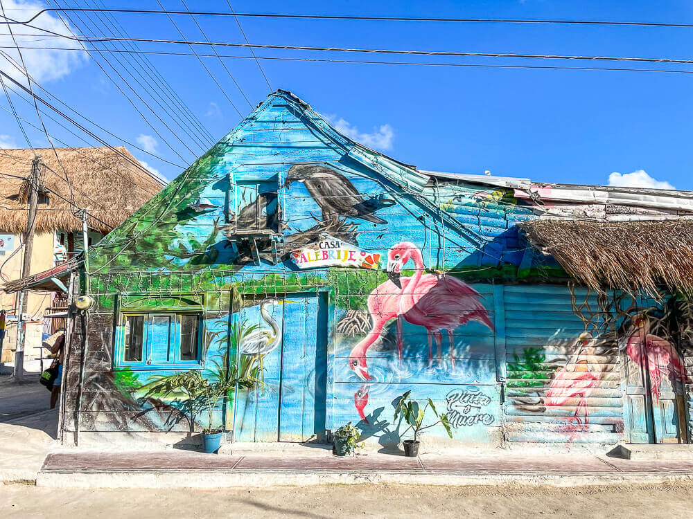 Blue shack with pink flamingos and other birds painted on the side.