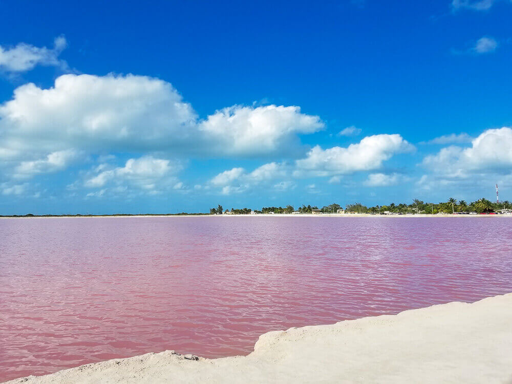 Pink water with sand in the foreground and blue skies with puffy white clouds.