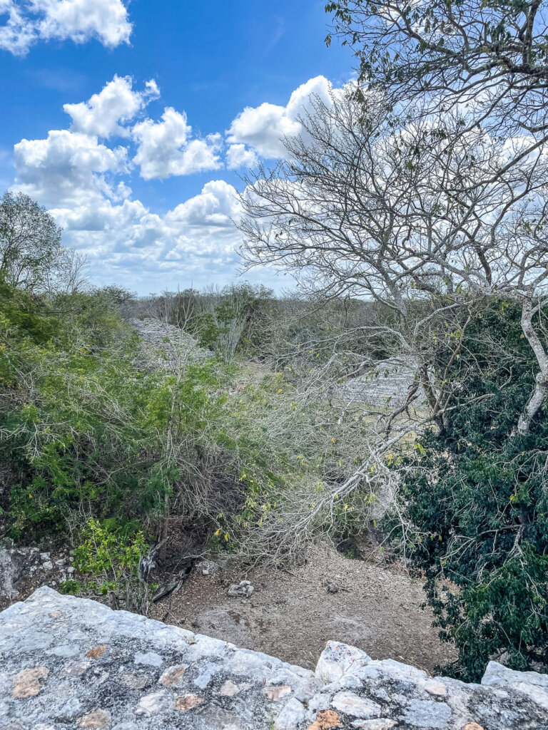 A stone stepped wall in the foreground with jungle and blue skies in the background