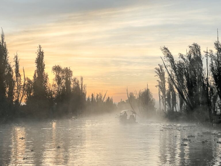 A boat rides on the misty water, on a tree-lined river