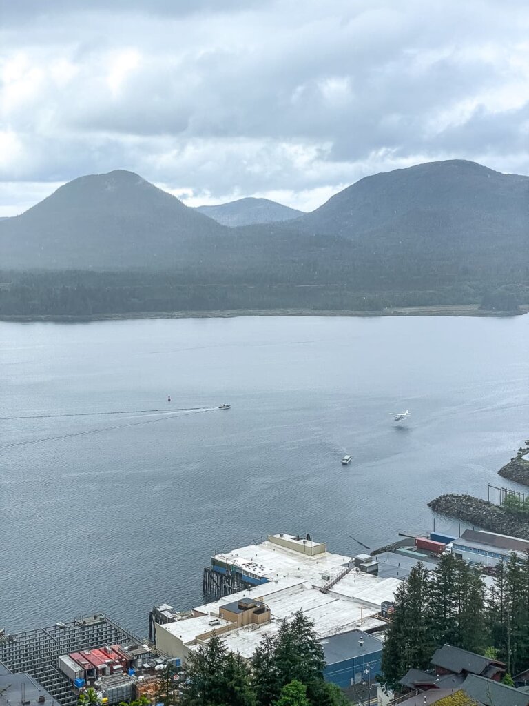 Looking out over trees to a large harbor. The sky is cloudy.