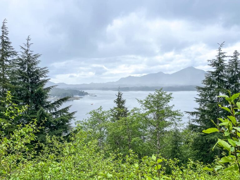 Looking out over trees to a large harbor. The sky is cloudy.