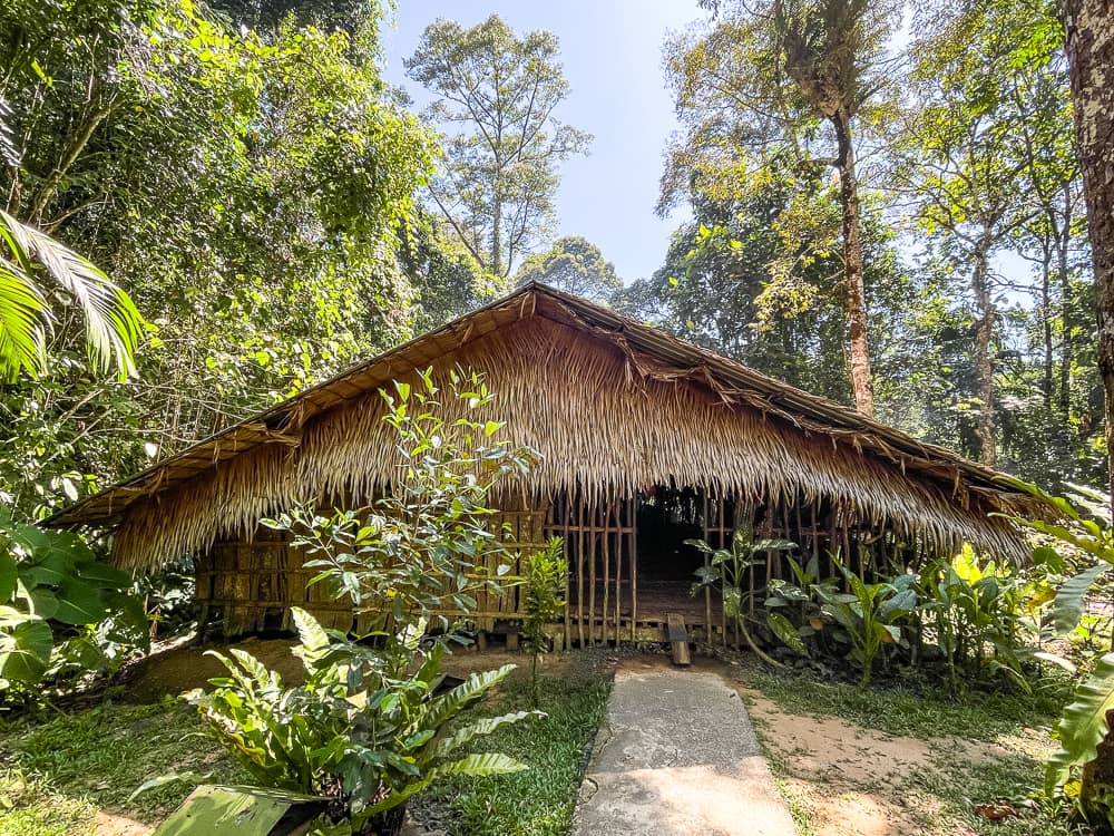 A building with a pitched roof made of reeds and other natural materials is nestled in the forest. A path leads to the entrance.