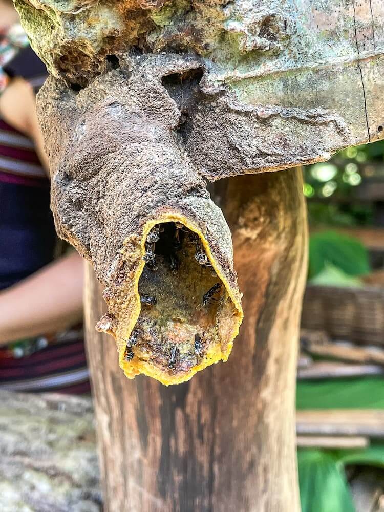 Front view of a cylindrical beehive, with a few bees at the entrance. 