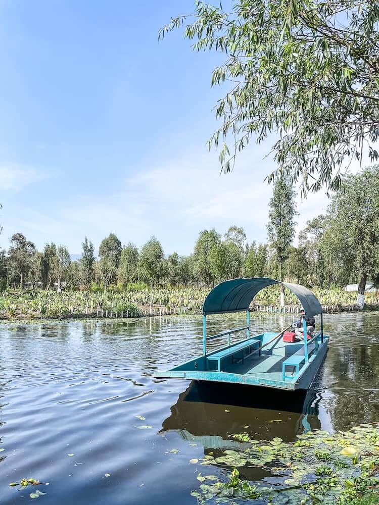 A blue flat-bottomed boat with a roof floats in a canal. There is a small farm and trees across the water.